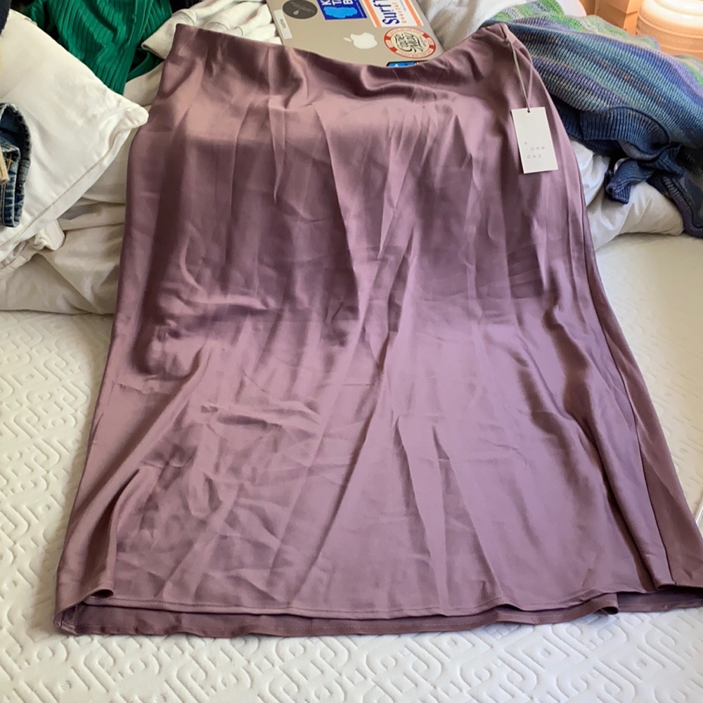 Target Violet silk skirt